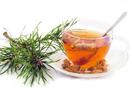Чай из сосновой хвои и шиповника рецепт с фото пошагово 