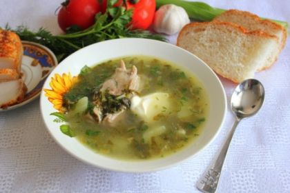 Куриный суп с щавелем рецепт с фото пошагово