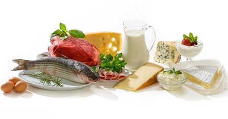 Продукты питания содержащие белок