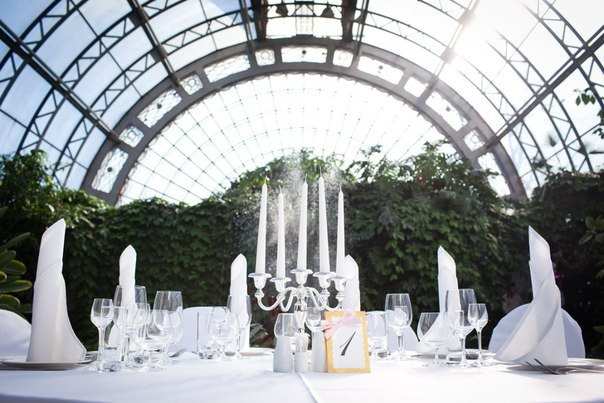 Оранжерея Таврического сада банкетный зал