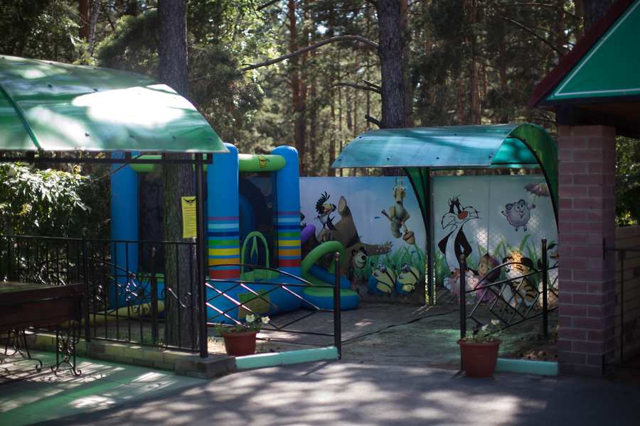 Кафе Совушка Курган