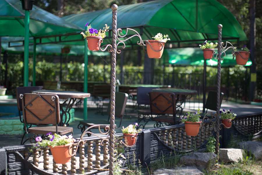 Кафе Совушка Курган