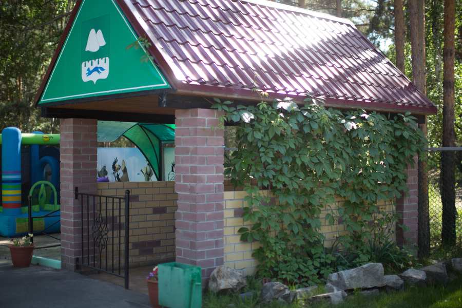 Кафе Совушка Курган