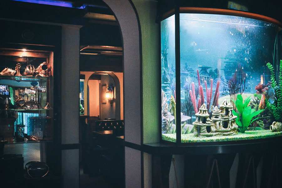 Старый Томас Мурманск