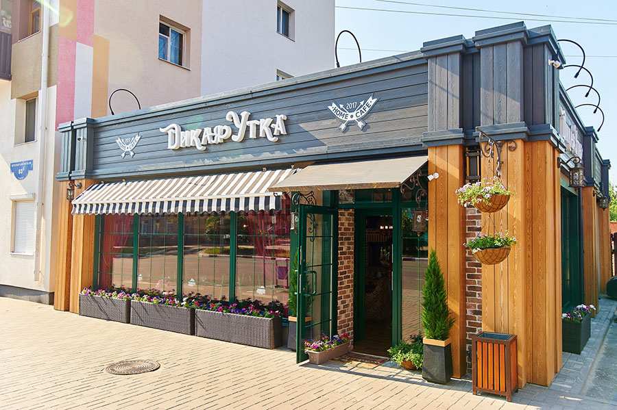 Дикая утка Белгород