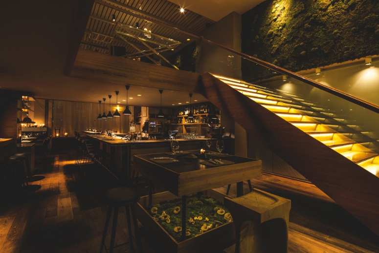 Mushrooms ресторан Москва