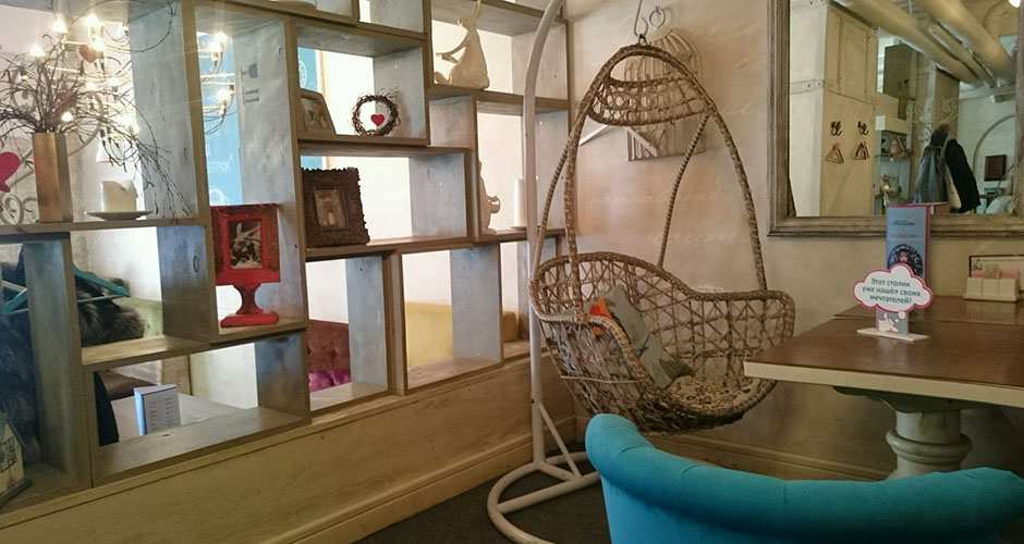 Кафе Мечтать Кемерово