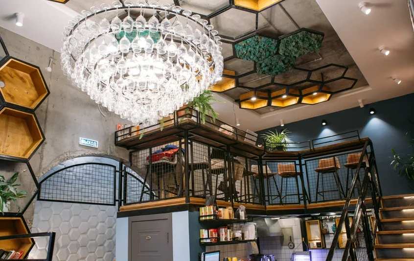 Оптимист в Санкт-Петербурге