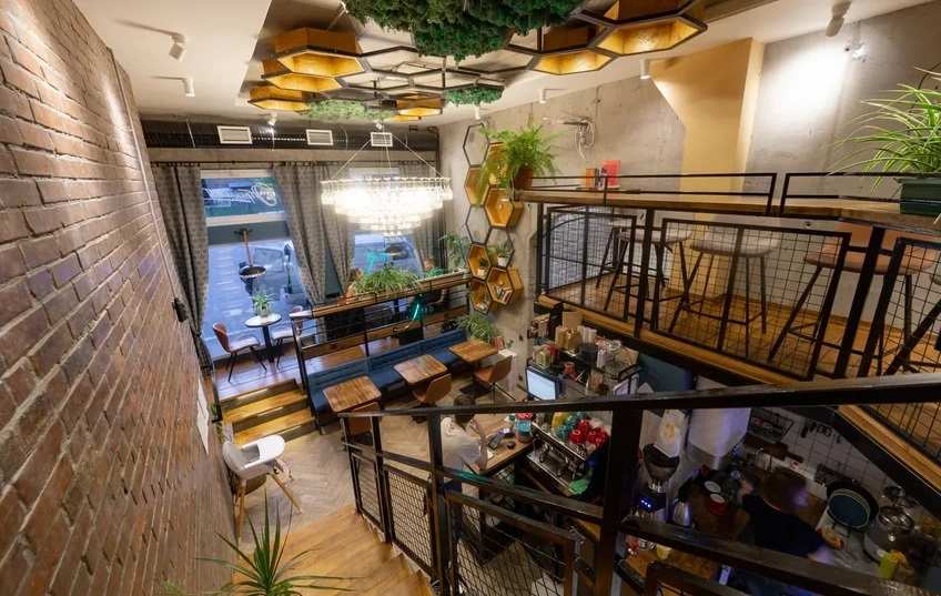 Оптимист в Санкт-Петербурге