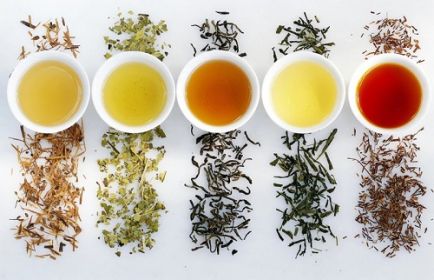 1000 и 1 оттенок: какие виды чая выделяют на Западе?