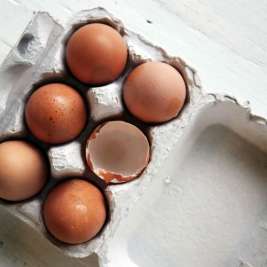 5 причин никогда не выбрасывать яичную скорлупу
