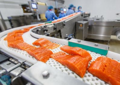 Как организовано рыбное производство, чтобы скоропортящаяся продукция доставлялась свежей?
