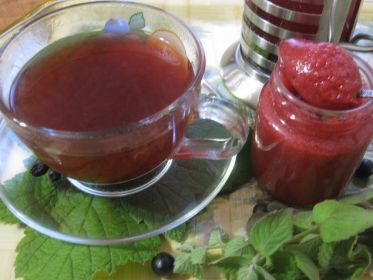 Чай со смородиной мятой и розмарином рецепт с фото пошагово 
