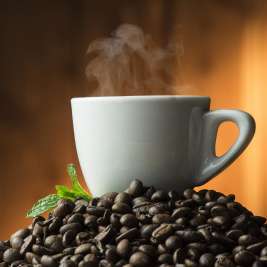 Несколько фактов о кофе