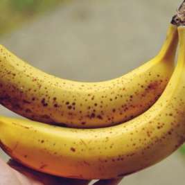 Интересный факт о бананах