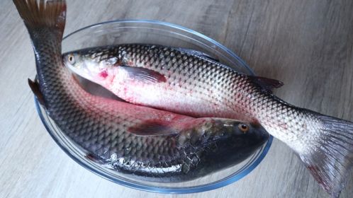 Как легко очистить рыбу от чешуи, варианты чистки рыбы в домашних условиях