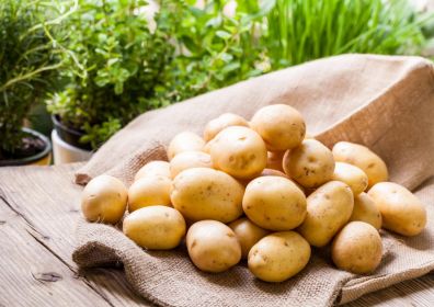 Как правильно хранить картофель в погребе, квартире зимой