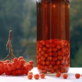 Компот из красной рябины Компот из красной рябины, рецепт с фото, пошагово