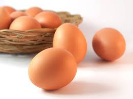 Яйца куриные сальмонелла