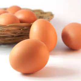 Сальмонелла в яйцах