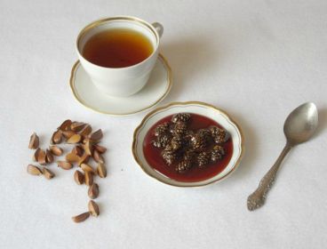 Чай из шишек сосны рецепт с фото пошагово