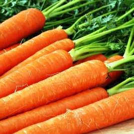 Интересные факты про морковь