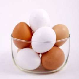 Какие яйца лучше – белые или коричневые