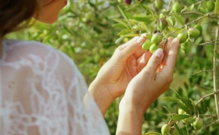 Польза консервированных зеленых оливок для организма женщин