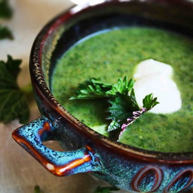 Суп из крапивы и сельдерея рецепт с фото пошагово 