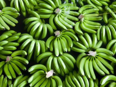 Как быстро созреть банан в домашних условиях