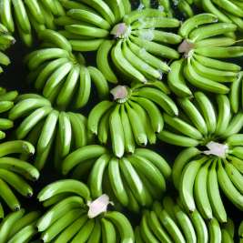 Как созреть зеленые бананы дома