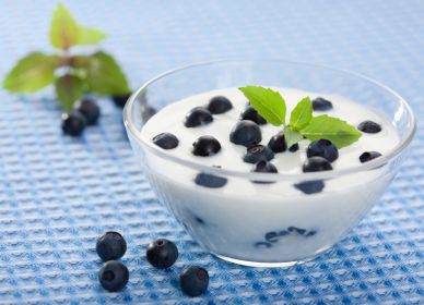 Польза йогурта в ведической системе питания