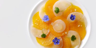 Севиче с морскими гребешками и вкусным яблочным щавелевым гелем - рецепт молекулярной кухни