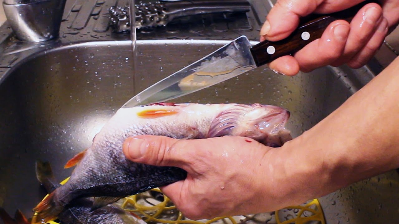 Как отмыть рыбу. Чистая рыба. Очистка рыбы. Помыть рыбу. Очистка рыбы от чешуи.