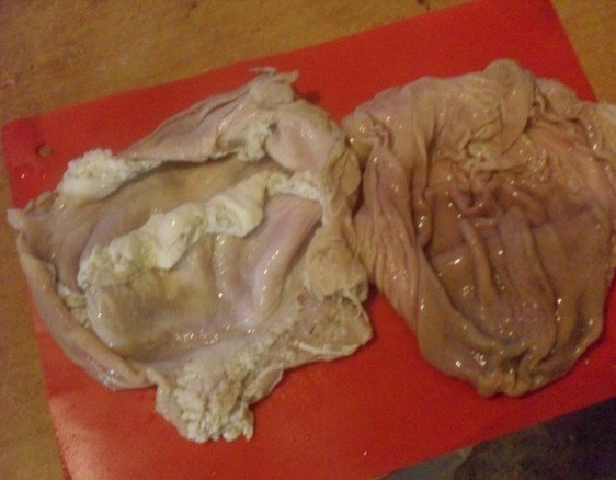 свиной желудок фаршированный картофелем