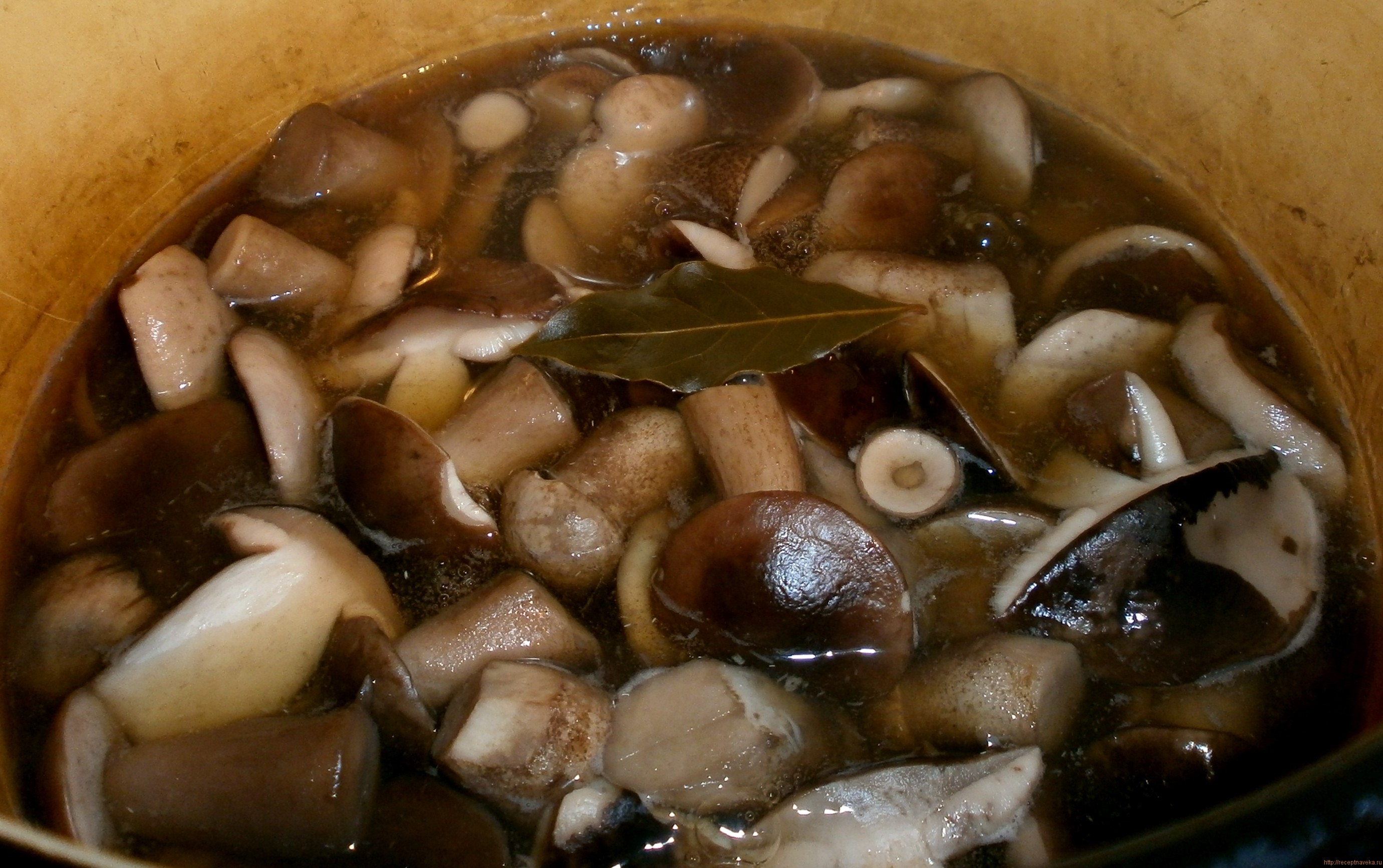 Суп из замороженных подосиновиков рецепт с фото пошагово