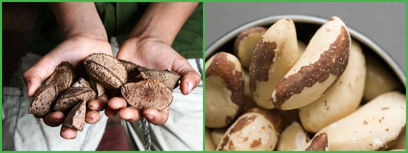 Польза бразильского ореха для мужчин