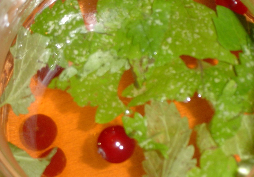 Чай с клюквой и мелиссой