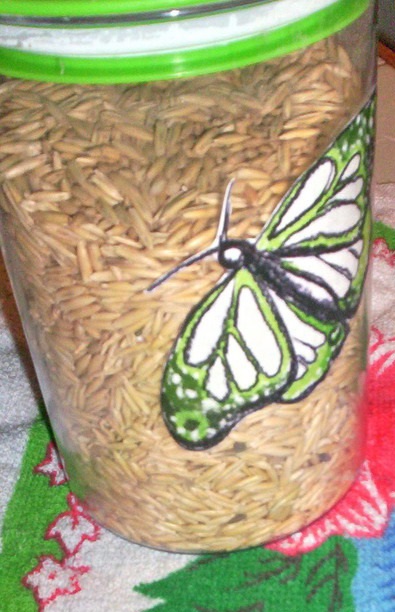 Овсяный напиток для похудения