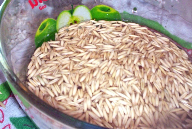 Овсяный напиток для похудения