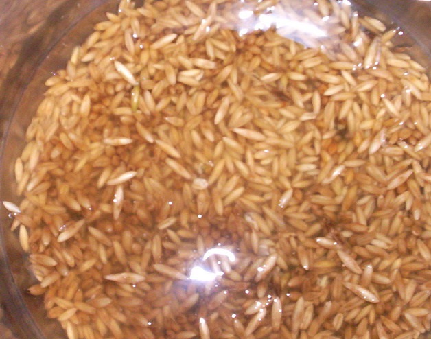 Овсяный напиток для похудения