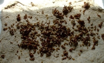 Пшенично-ржаной хлеб с семечками на закваске