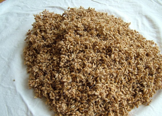 Хлеб с пророщенной пшеницей