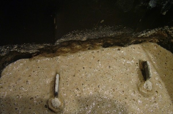 Хлеб с пророщенной пшеницей