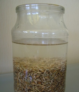 Хлеб с пророщенной пшеницей