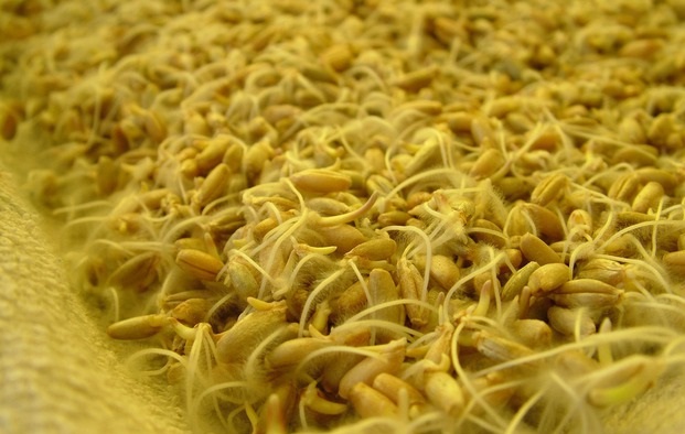 Хлеб с пророщенной пшеницей