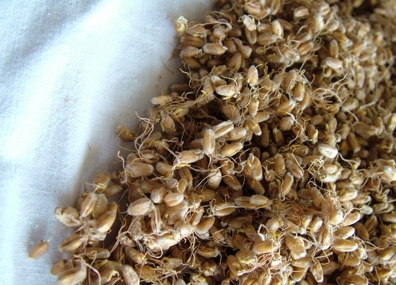 Хлеб с пророщенной пшеницей