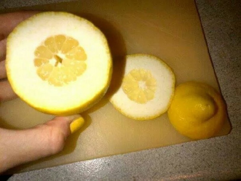 как выбрать хороший лимон