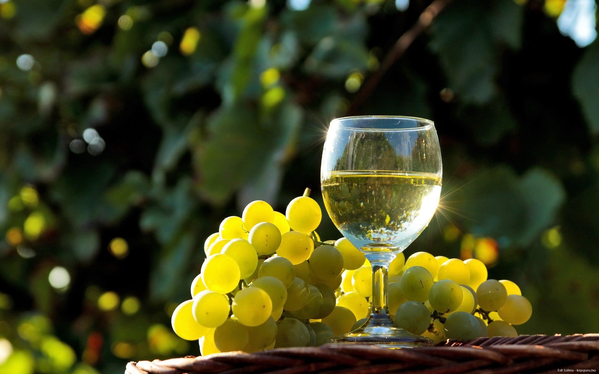 Вся правда о вине - польза и вред. Рекомендации врачей об употреблении вина каждый день