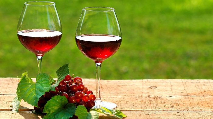 Вся правда о вине - польза и вред. Рекомендации врачей об употреблении вина каждый день